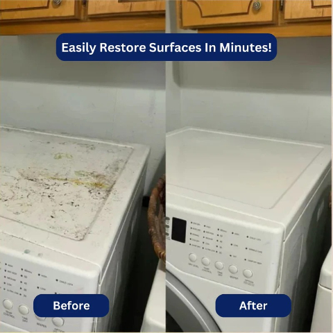 SorbiePro Steamer - The Mom's Secret Weapon for a Spotless, Chemical-Free Home