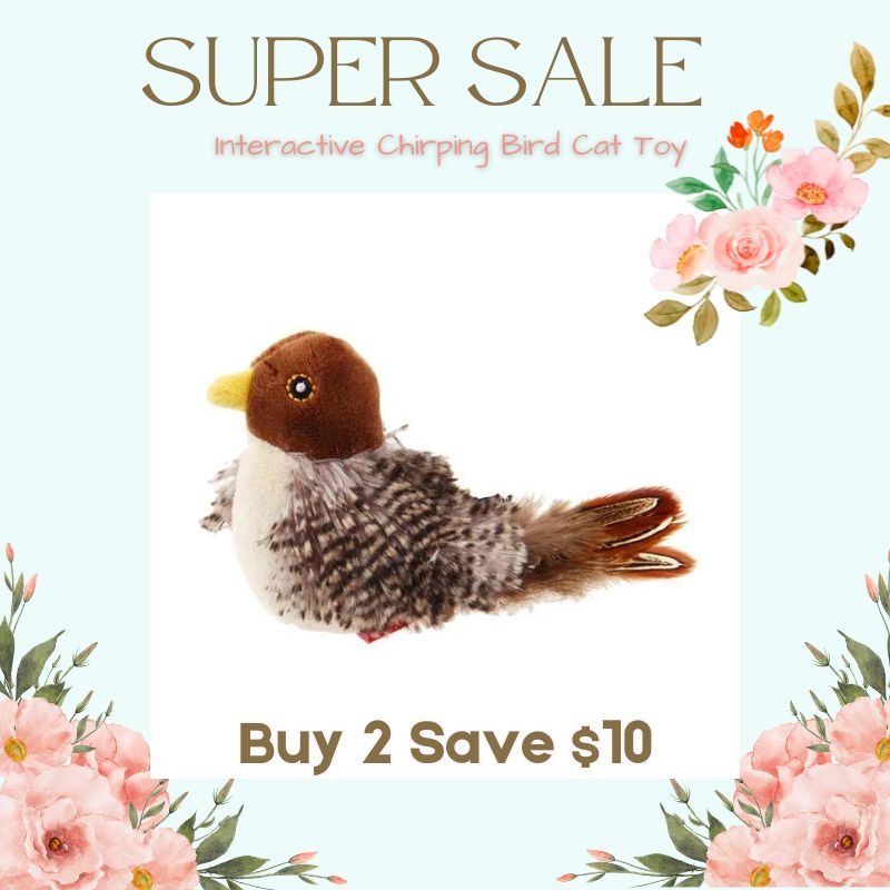 🔥 Last Day Sale 50% Off ⏰ Interactive Chirping Bird Cat Toy 🐧