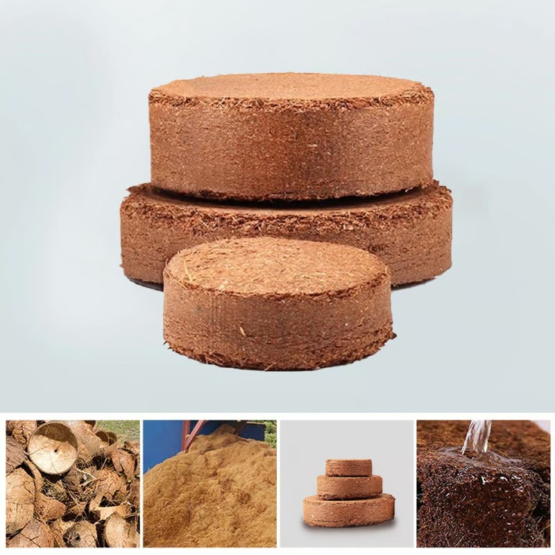 🔥 LAST DAY 49% OFF 🌱 Premium Organic Coconut Coir Bricks For Plants