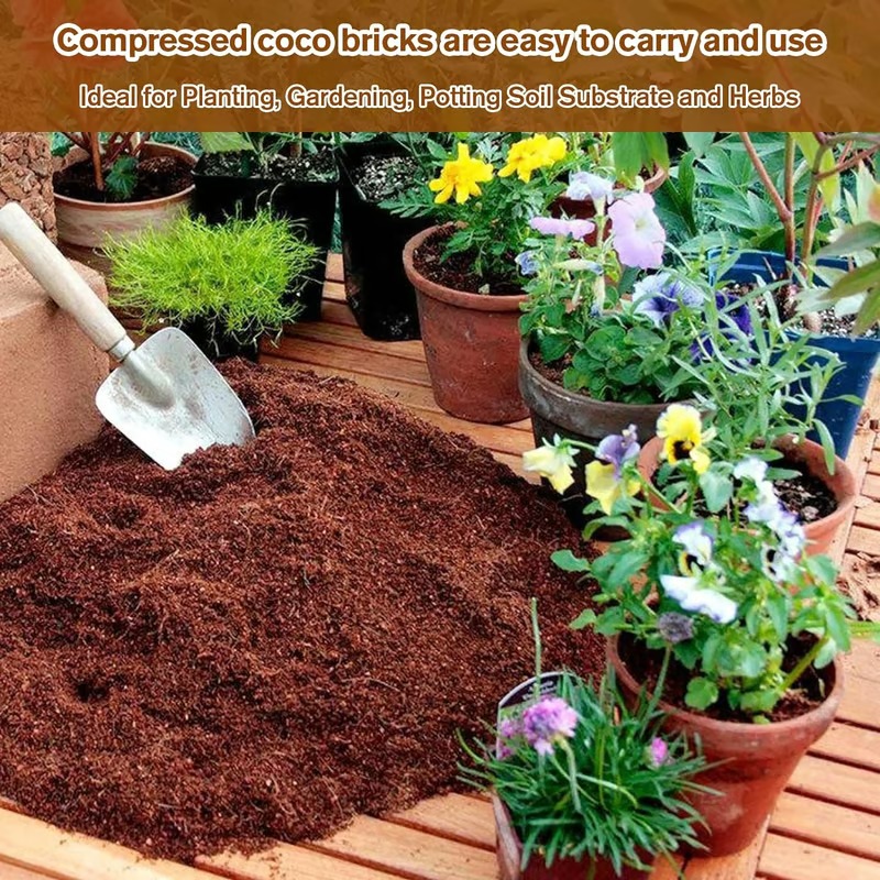 🔥 LAST DAY 49% OFF 🌱 Premium Organic Coconut Coir Bricks For Plants