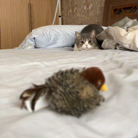 🔥 Last Day Sale 50% Off ⏰ Interactive Chirping Bird Cat Toy 🐧