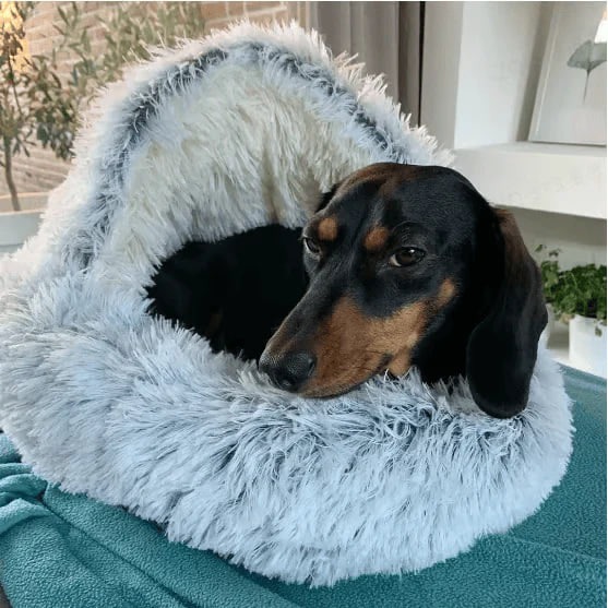 Burrowing Pet Bed