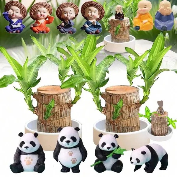 🎉🎉SUMMER FLASH DEAL 🌱🌱Sky Terrarium Lucky Wood